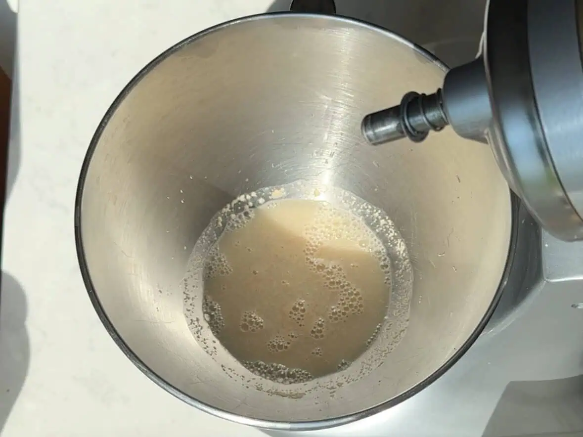 Combine water, instant yeast and sugar.