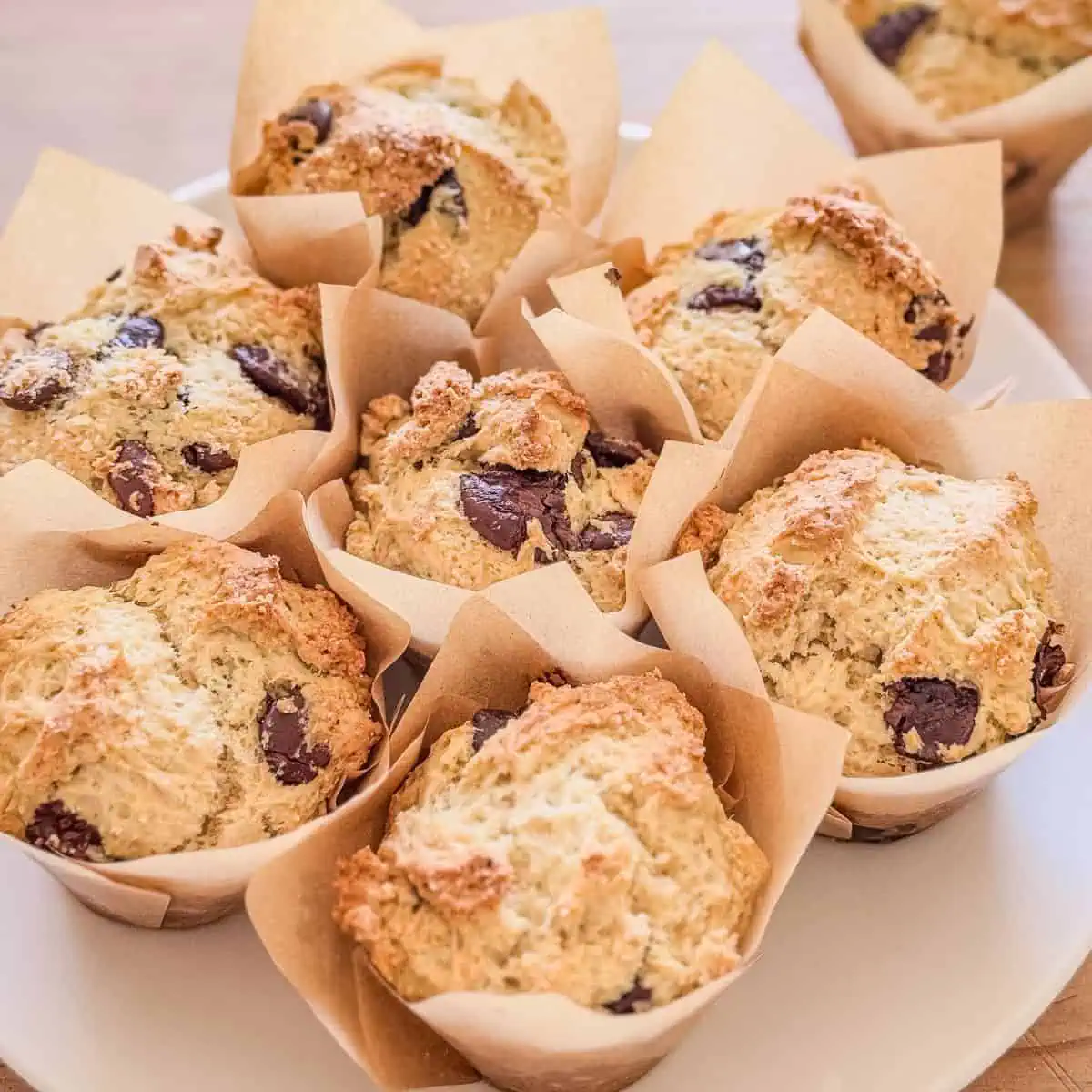 A plate of freshly baked protein chocolate chip muffins with golden tops and melted chocolate chips.