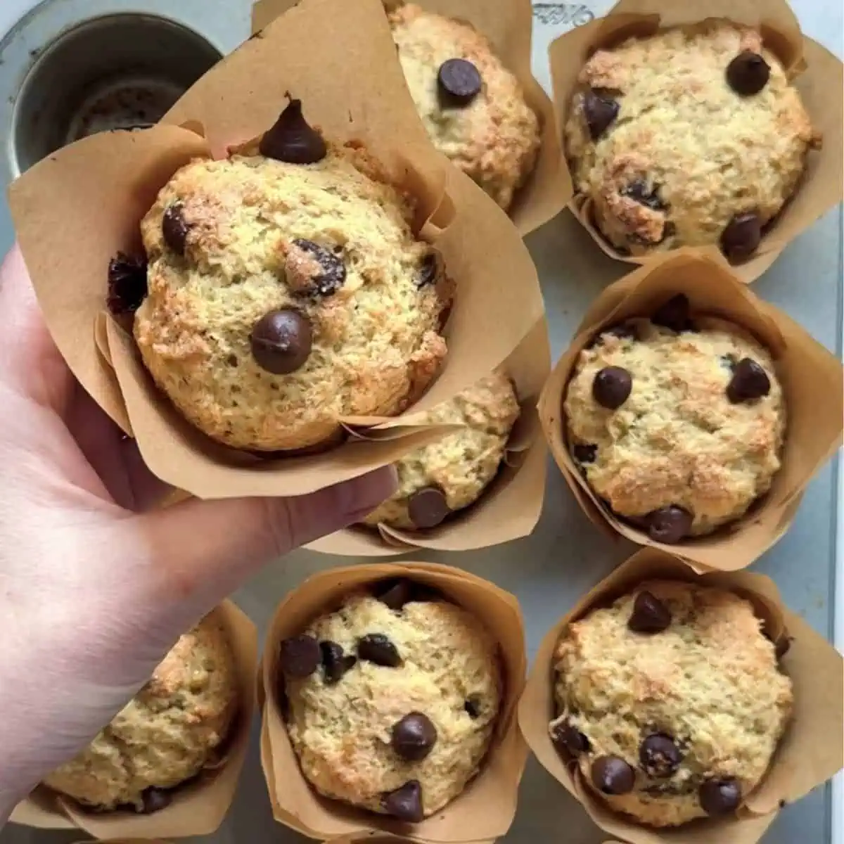 A hand reaching into a muffin tin to grab a freshly baked chocolate chip protein muffin.