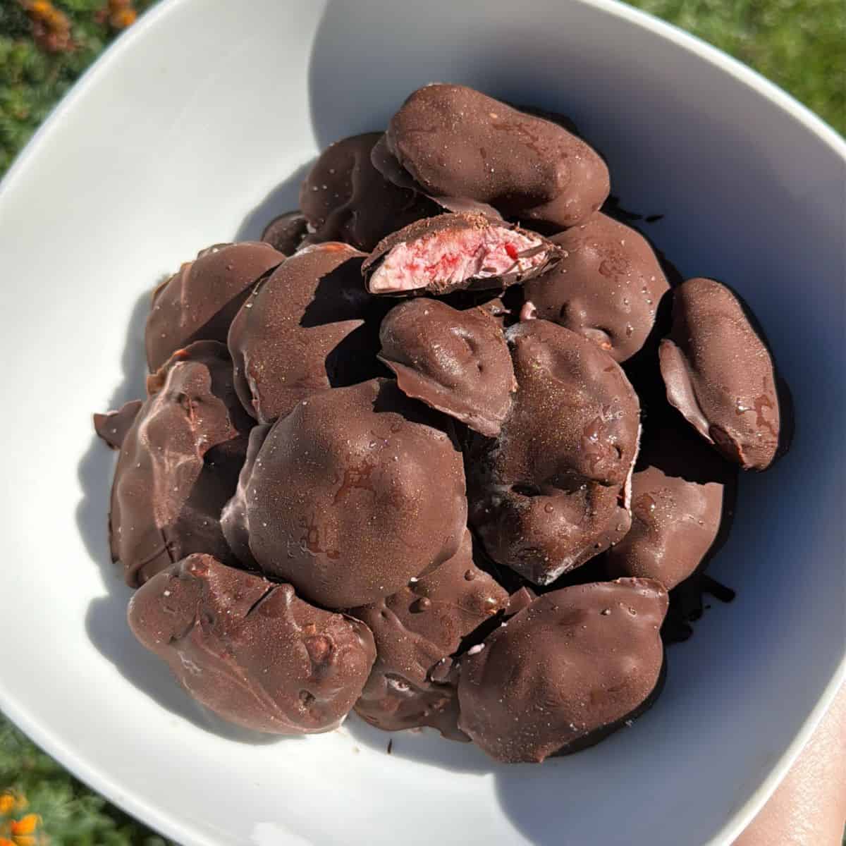 Bowl filled with dark chocolate protein raspberry clusters, a quick and easy no-bake snack.