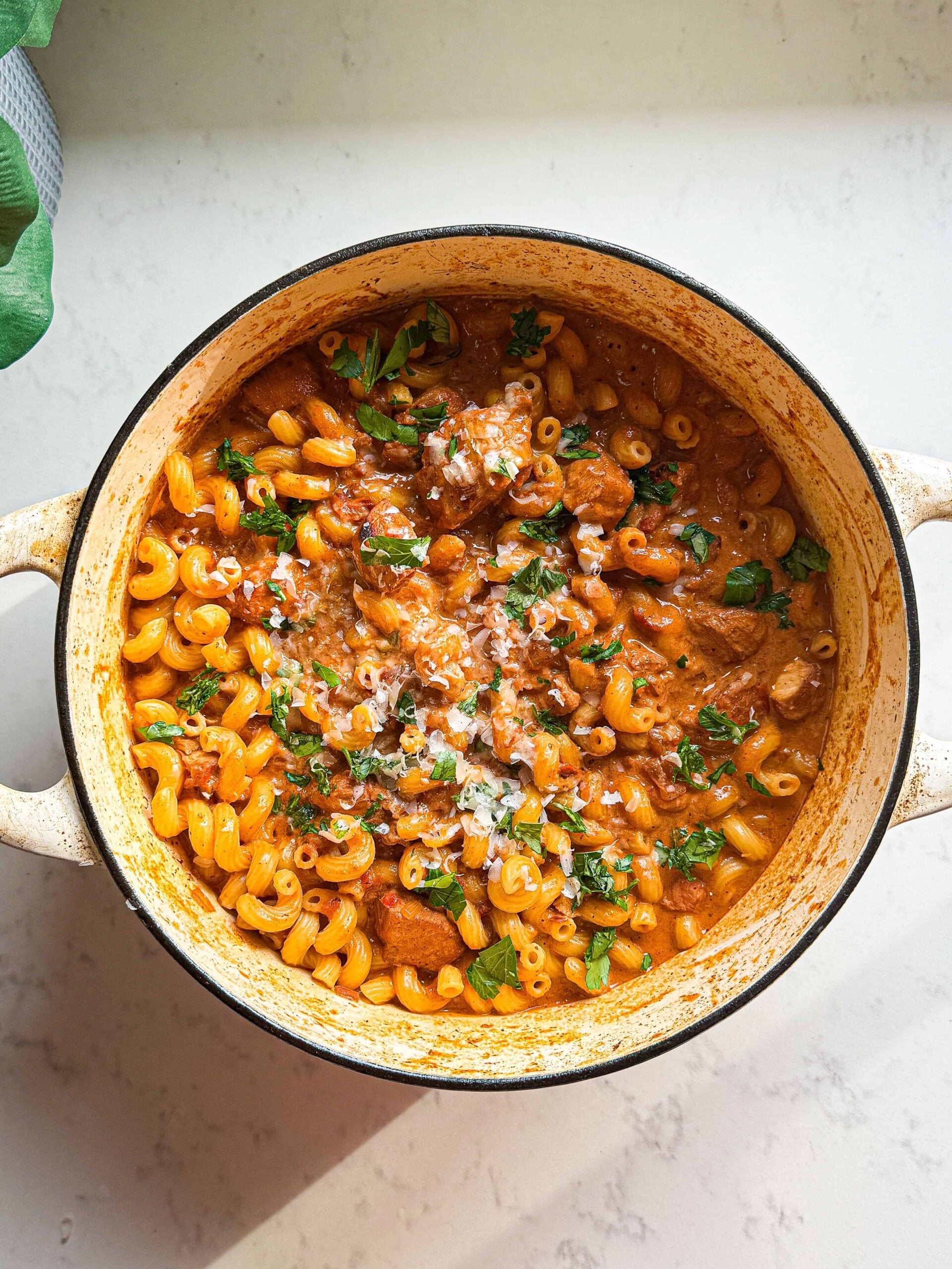 overhead creamy tomato chicken pasta with parmesan parsley and plant in corner