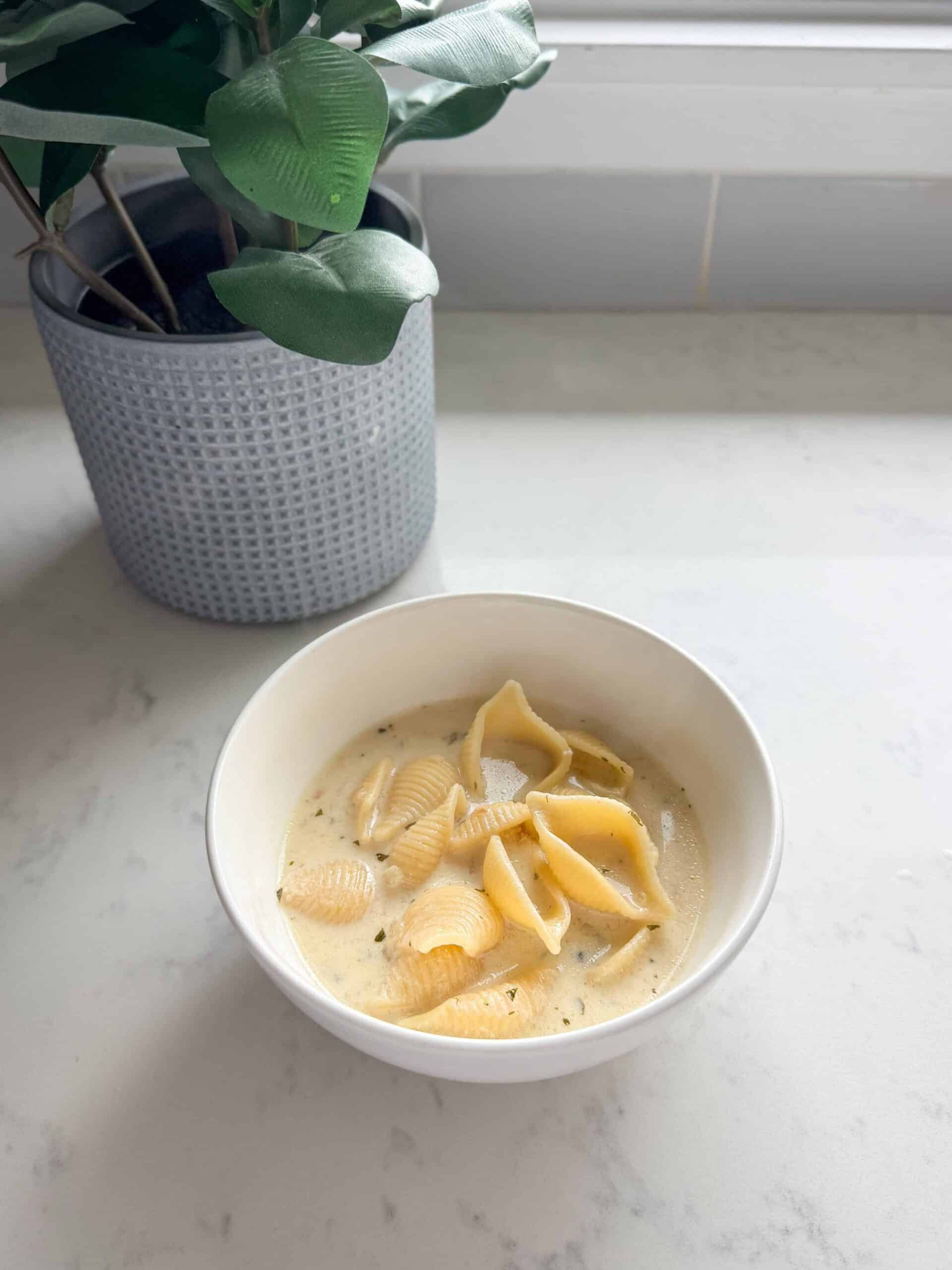 A bowl of creamy Armenian yogurt soup with shell pasta photographed at a 45 degree angle with a green plant in the background
