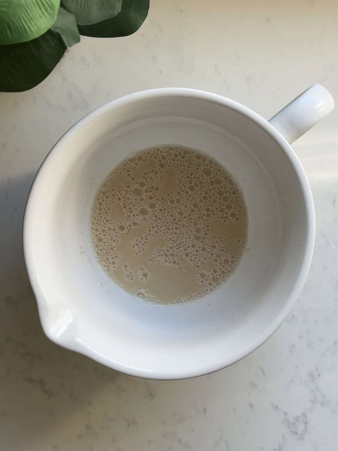 Instant yeast proofing in a white bowl with foam forming on the surface for cheoreg recipe
