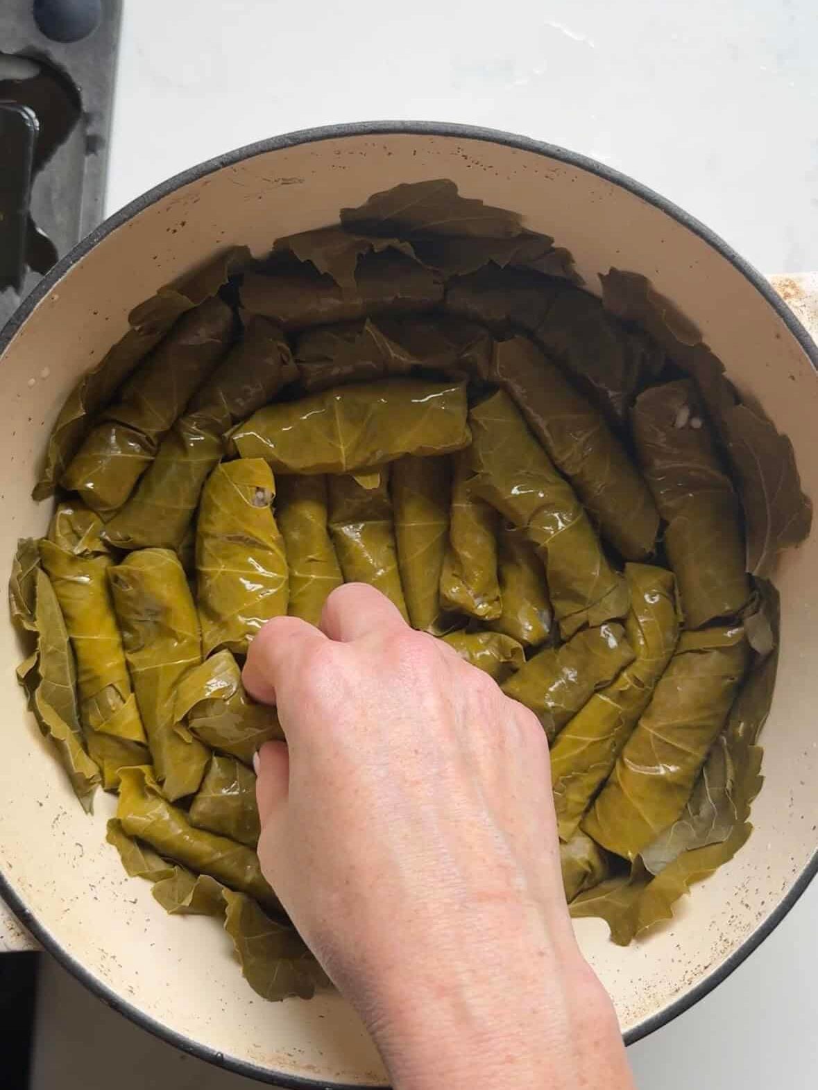 Rolled grape leaves packed in tight rows in a Dutch oven