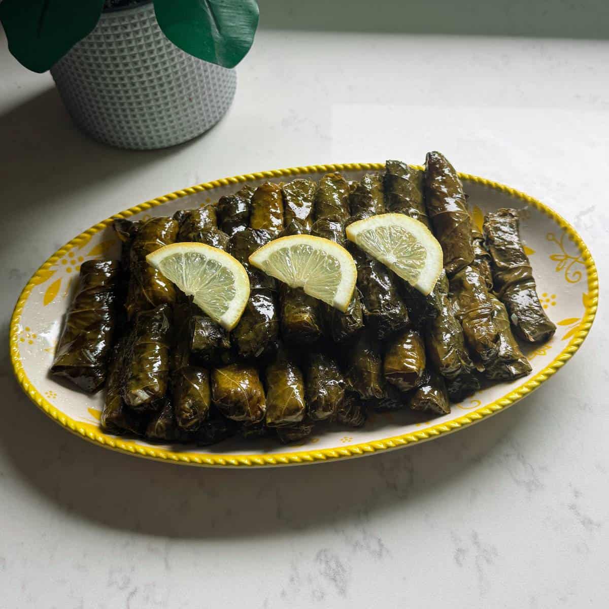 Platter of vegan stuffed grape leaves stacked high and ready to serve