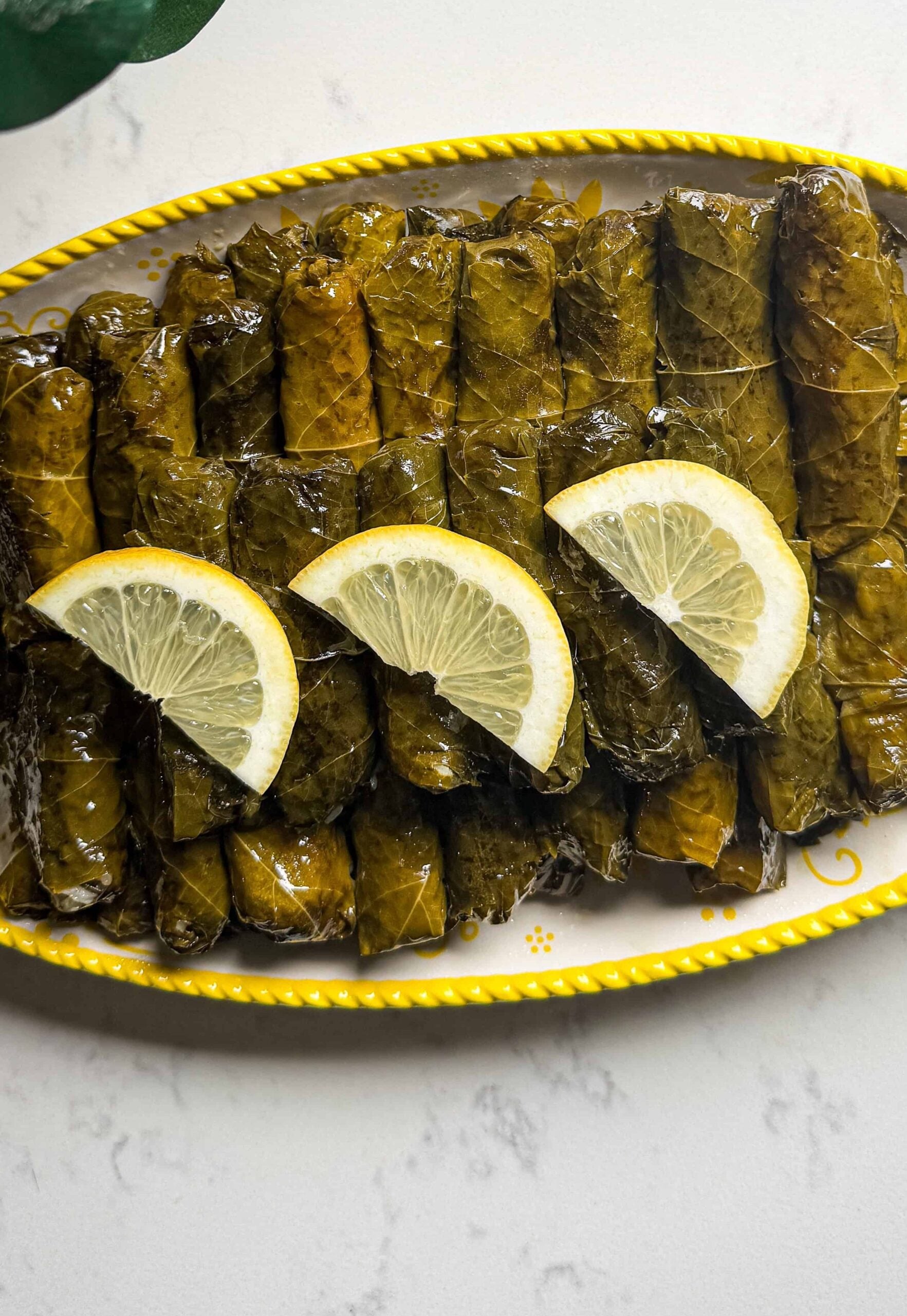 Overhead view of vegan stuffed grape leaves in rows with lemon wedges