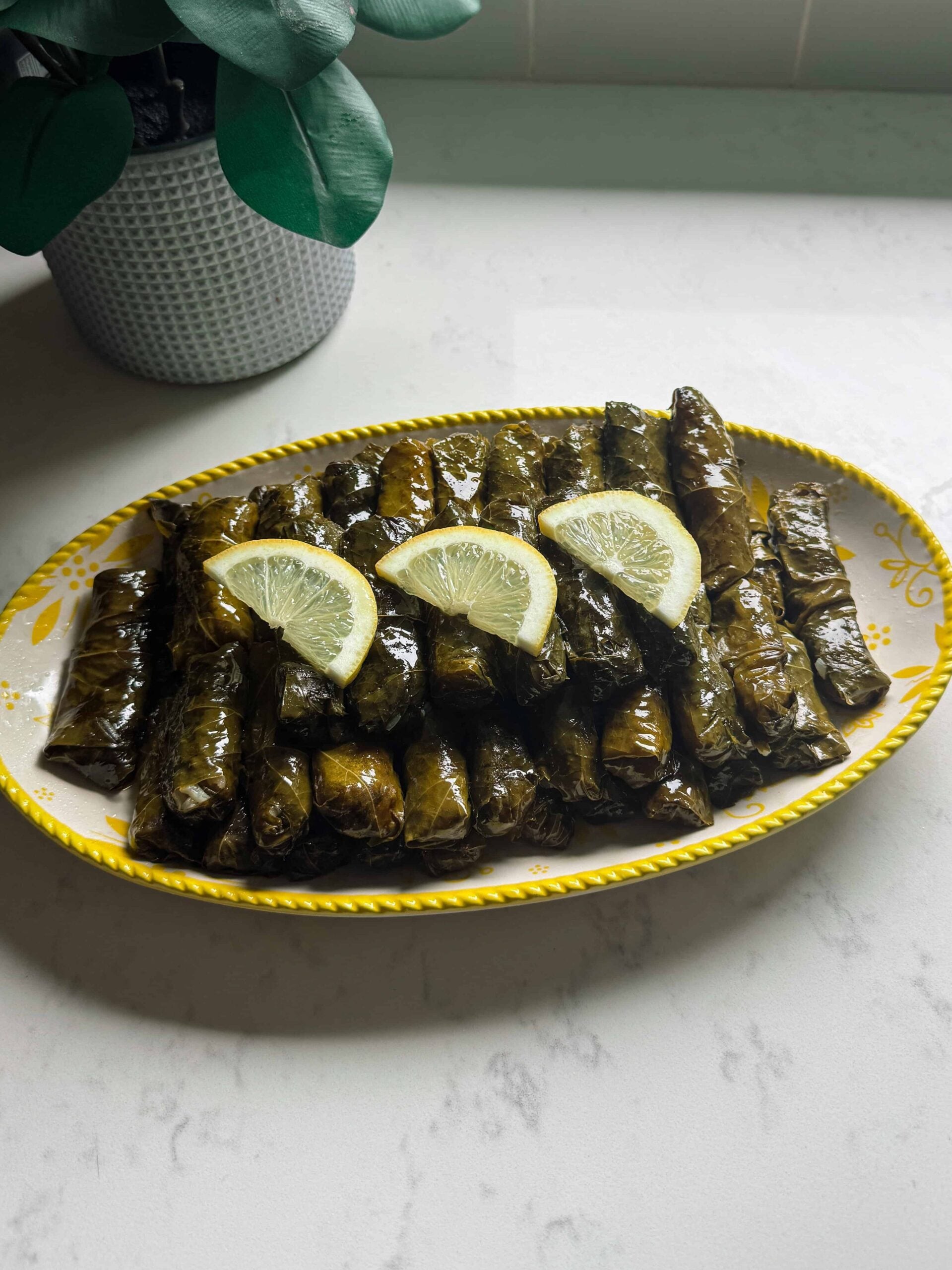 Plate of Sarma vegetarian grape leaves with lemon beside a green plant