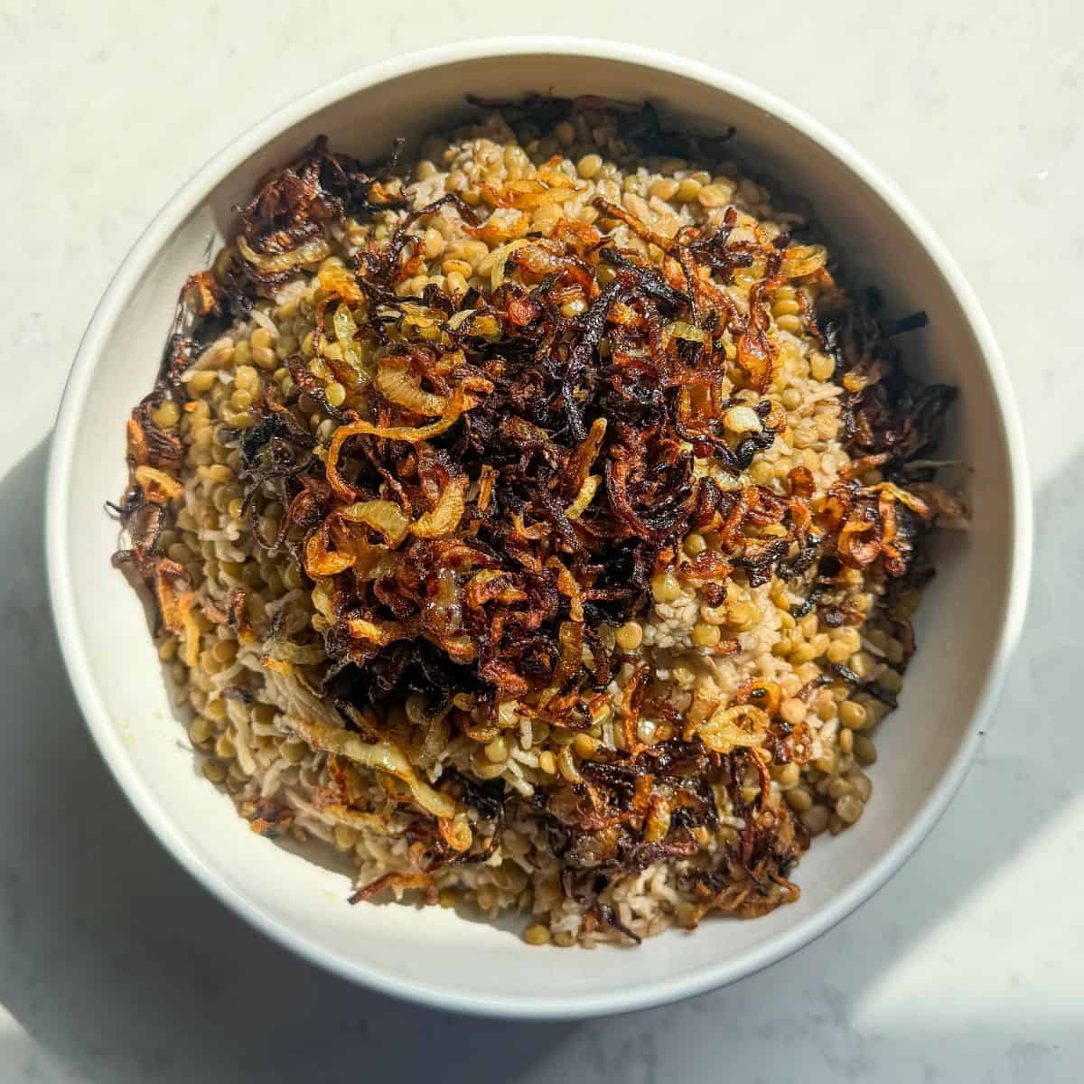 Top down view of a bowl of mujadara with lentils, rice, and browned onions
