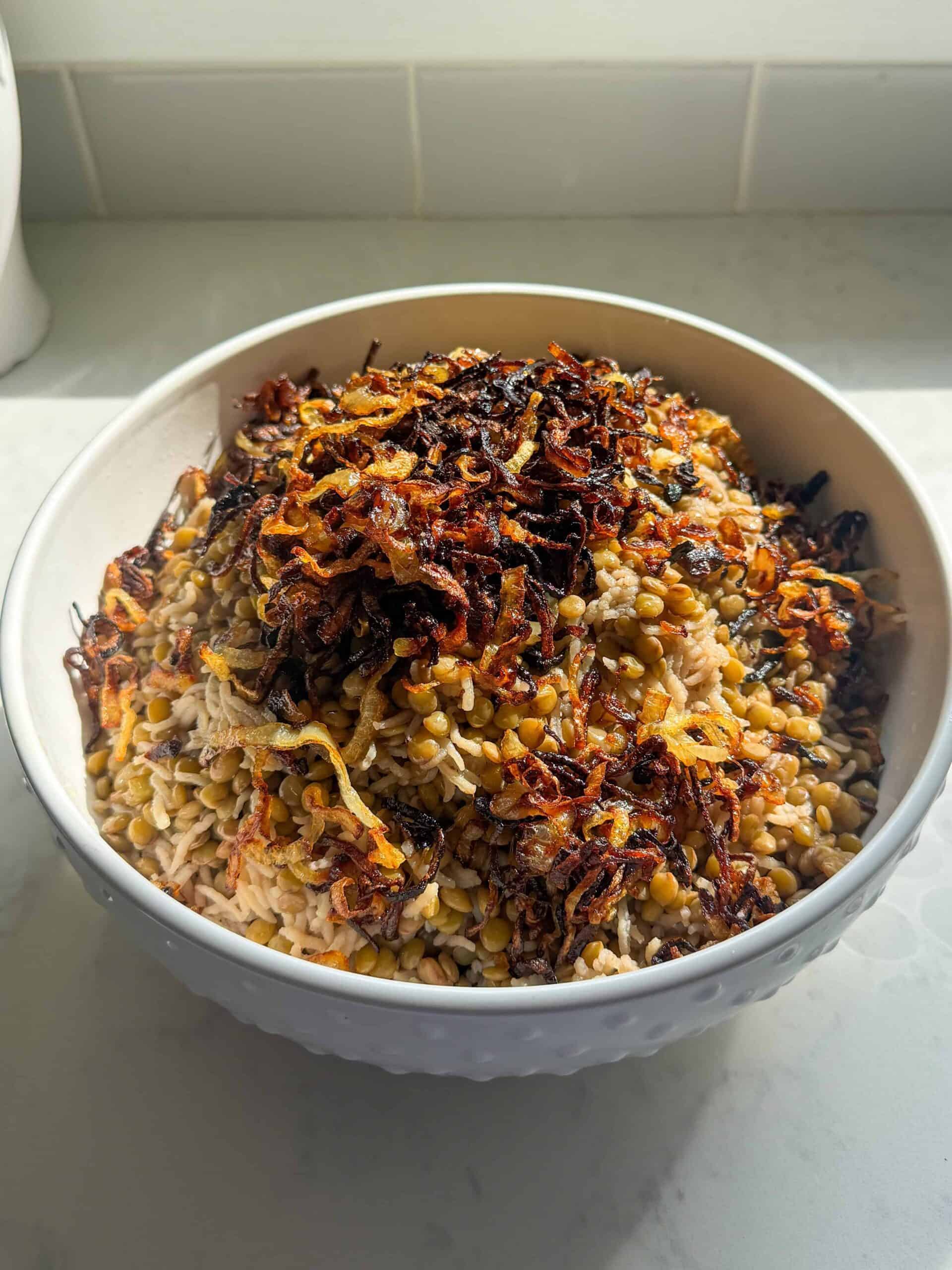 Overhead view of mujadara made with lentils, rice, and crispy fried onions in a white bowl